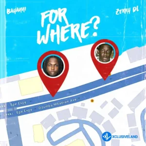Bayanni – For Where ft. Zerrydl