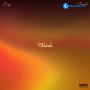 CKay – Wahala ft. Olamide