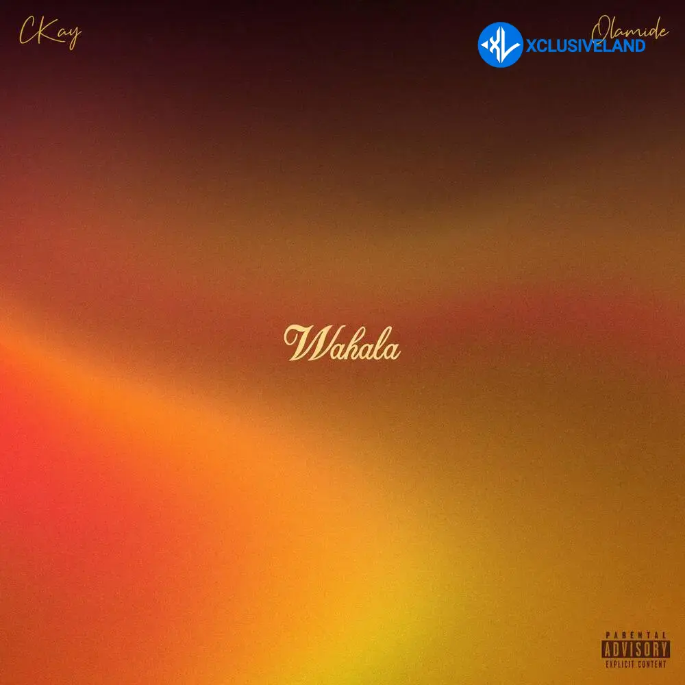 CKay – Wahala ft. Olamide Cover Art