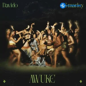 Davido – Awuke ft. YG Marley