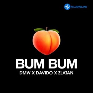 Davido – Bum Bum Ft. Zlatan