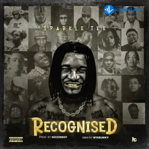 Sparkle Tee – Recognized