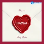 Namipa