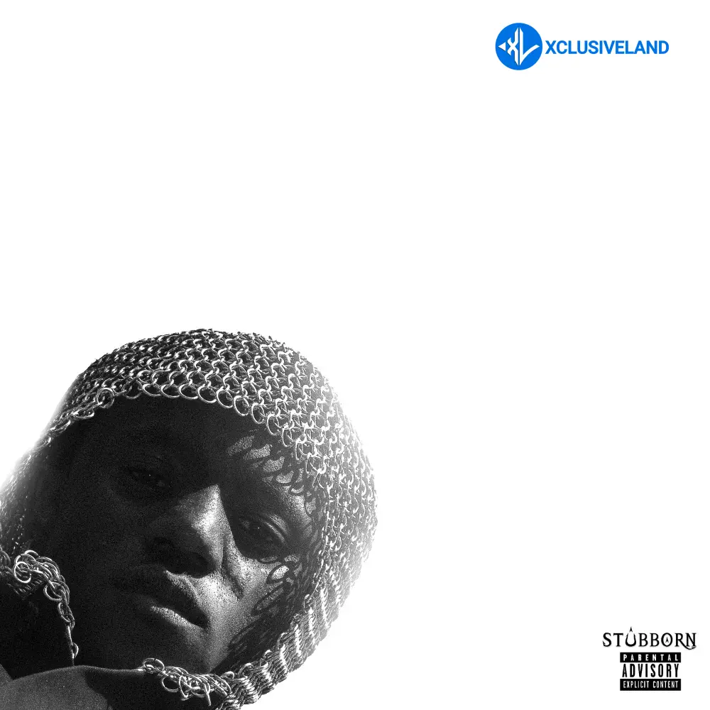 Victony – Risk Cover Art