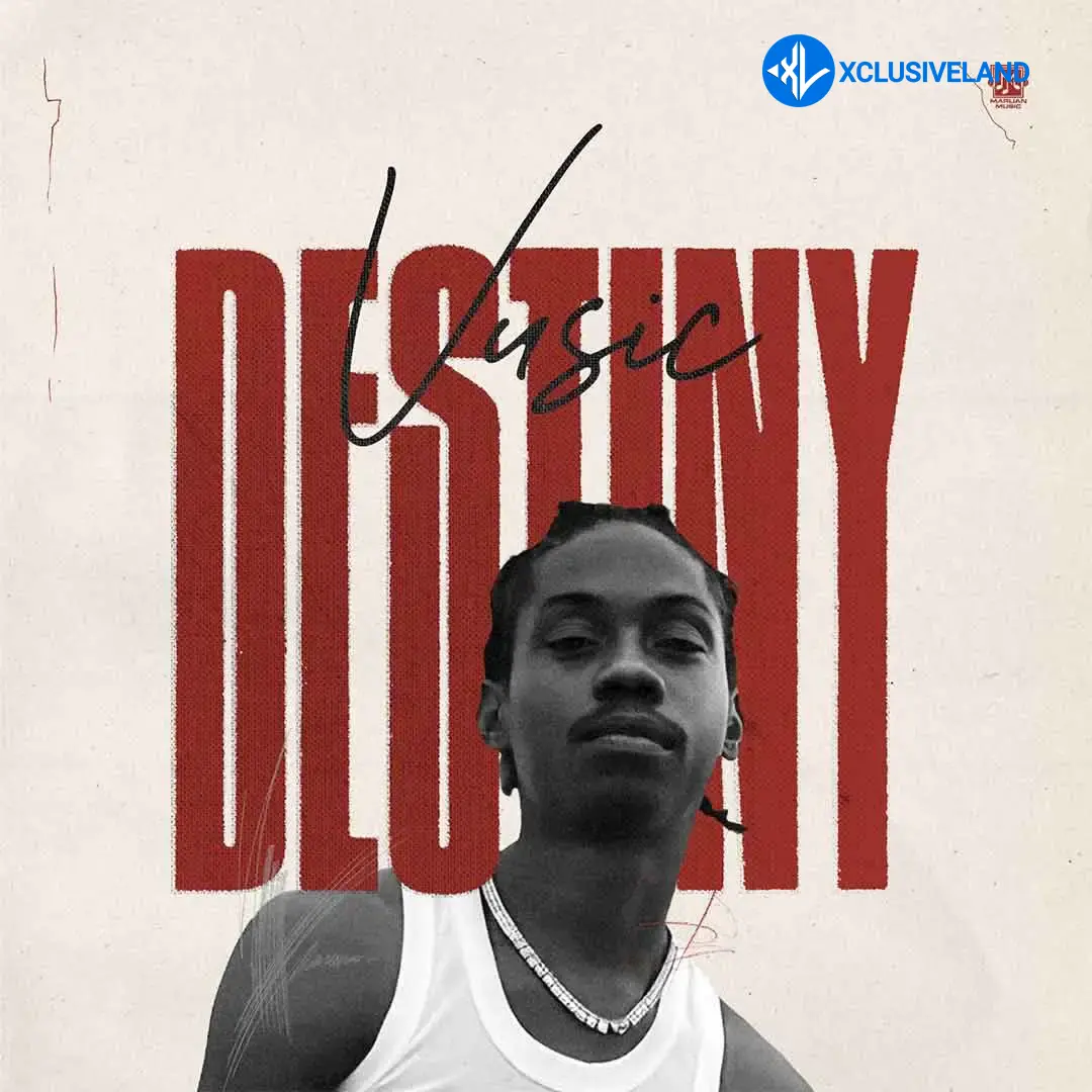 Vusic – Destiny Cover Art