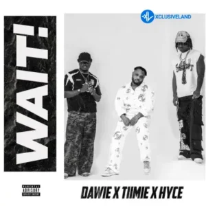 Dawie – Wait Ft. Hyce & Tiimie