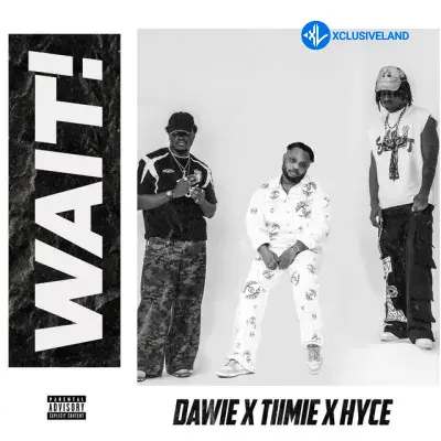 Dawie – Wait Ft. Hyce & Tiimie Cover Art