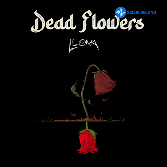 Llona – Dead Flowers Cover Art