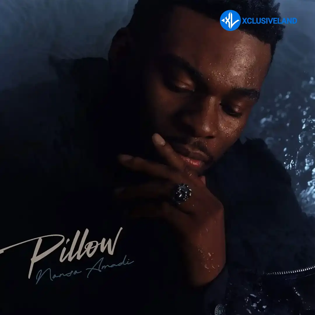 Nonso Amadi – PILLOW Cover Art
