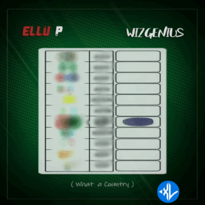 WizGenius – Ellu P Ft. Green Chamber Choir