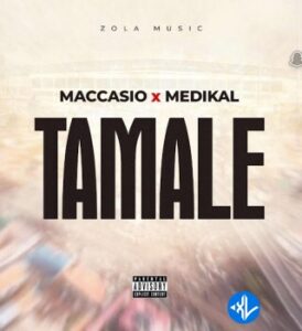 Maccasio – TAMALE