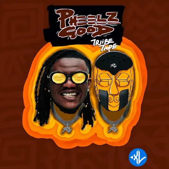 Pheelz – JOY ft. Olamide Cover Art