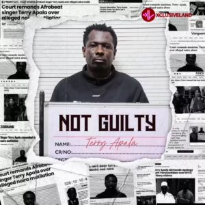 Terry Apala – Echoes Of Pain