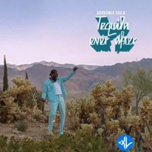 Adekunle Gold – Wrong Person ft. ODUMODUBLVCK