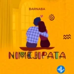 Nimejipata