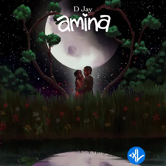 D Jay – Amina Cover Art