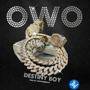 Destiny Boy – OWO