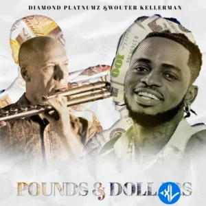 Diamond Platnumz – Pounds & Dollars ft. Wouter Kellerman