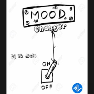 Dj Yk Mule – Mood Changer