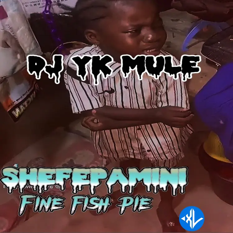 Dj Yk Mule – Shefepamini Fine Fish Pie Cover Art
