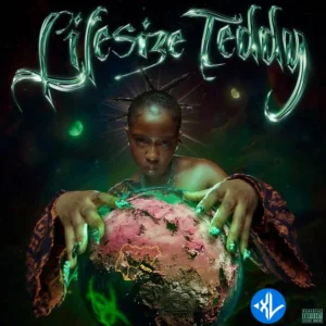 Lifesize Teddy – Air