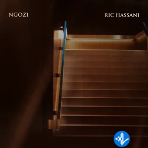 Ric Hassani – Ngozi