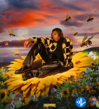 Rybeena – Mr Bee Album Cover Art