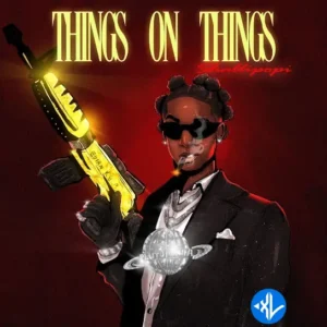 Shallipopi – Things on Things