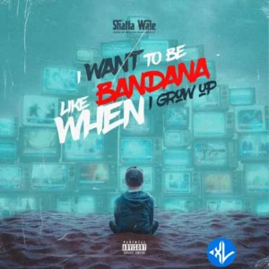 Shatta Wale – I Want To Be Like Bandana