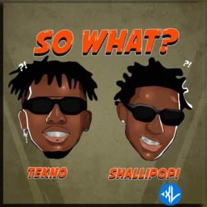 Tekno – So What? ft. Shallipopi