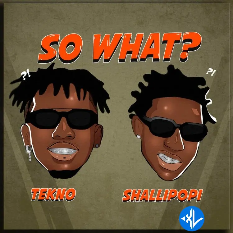 Tekno – So What? ft. Shallipopi Cover Art