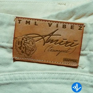 Tml Vibez – Amiri (Trumpet)