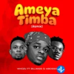 Ameyatimba (Remix)