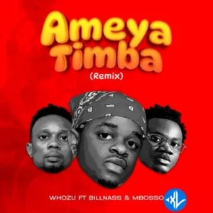 Whozu – Ameyatimba (Remix) ft. Billnass & Mbosso