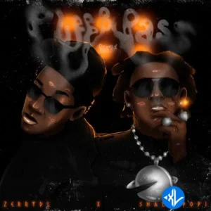 Zerrydl – Puff & Pass (Remix) ft. Shallipopi