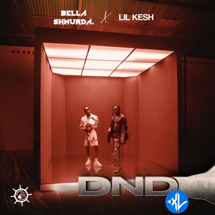 Bella Shmurda – DND ft. Lil Kesh Cover Art