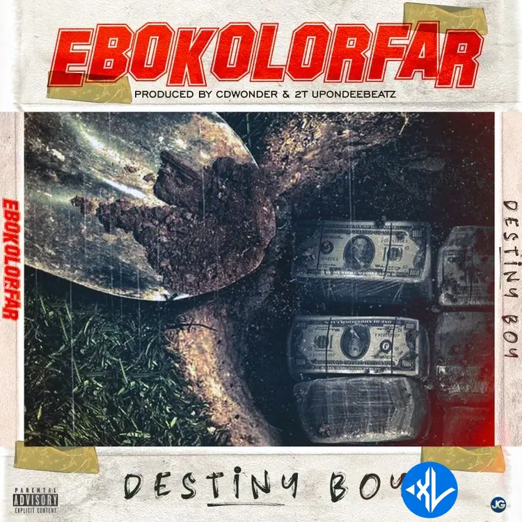 Destiny Boy – Ebokolorfar Cover Art