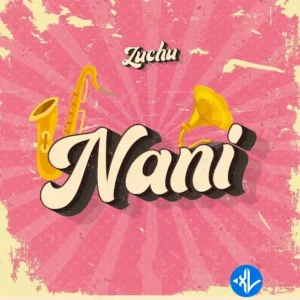 Zuchu – Nani