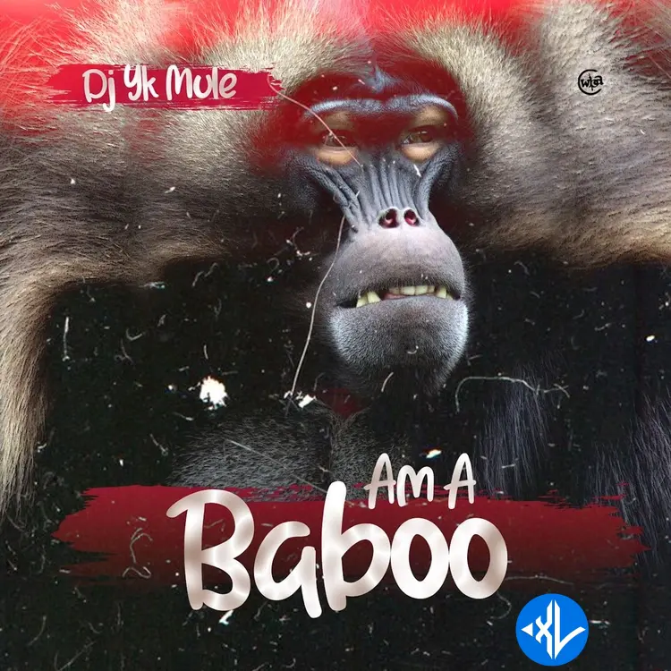 Dj Yk Mule – Am A Baboo Cover Art