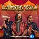 Chigbo Ogu (Remix)