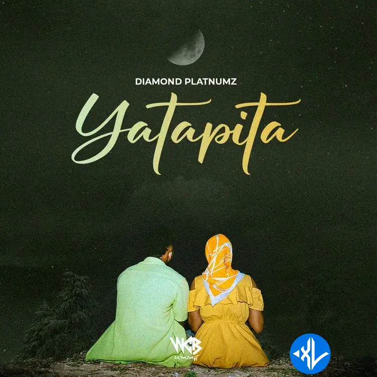 Diamond Platnumz – Yatapita Cover Art