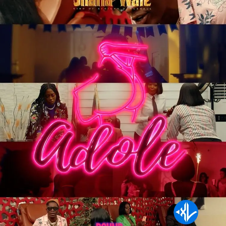 Shatta Wale – Adole Cover Art