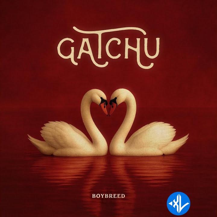 Boybreed – GATCHU ft. Papigunzo & Ekelly Cover Art