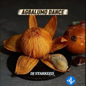 Dj Starkeed – Agbalumo Dance