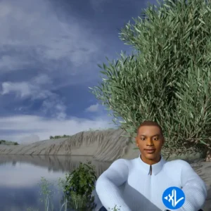 Jinmi Abduls – Heavens