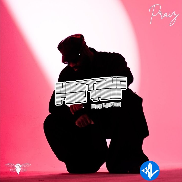 Praiz – Waiting For You (Stripped) Cover Art