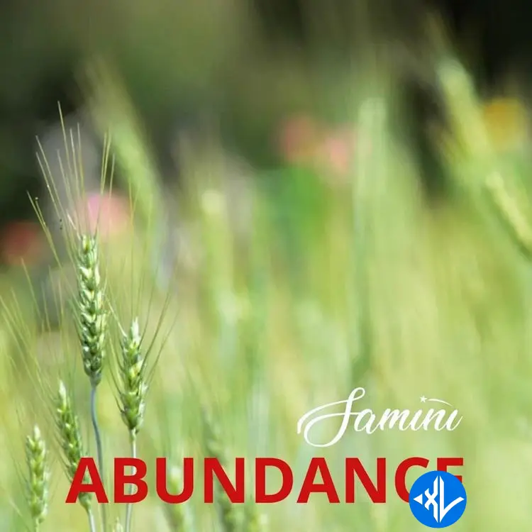 Samini – Abundance Cover Art