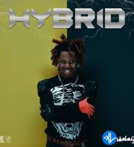 HYBRID Album