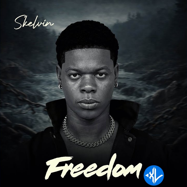 Skelvin – Freedom Cover Art
