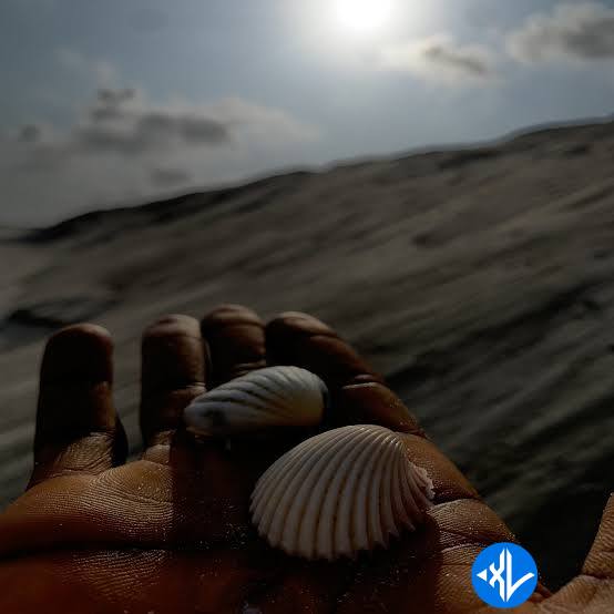 Meanboy – Dreaming Cover Art